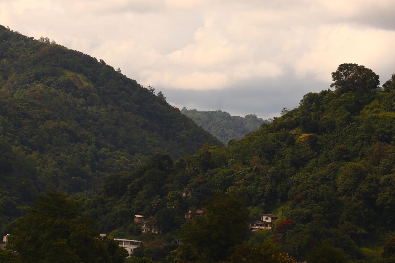 Sky Edge Homestay Kandy Buitenkant foto